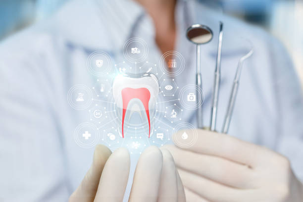 Best Dental Fillings (Composite and Amalgam)  in Saline, MI